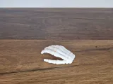 Skeleton Hand-0
