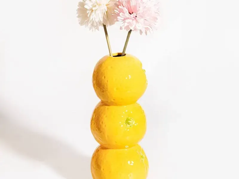 ORANGES PLANT POT