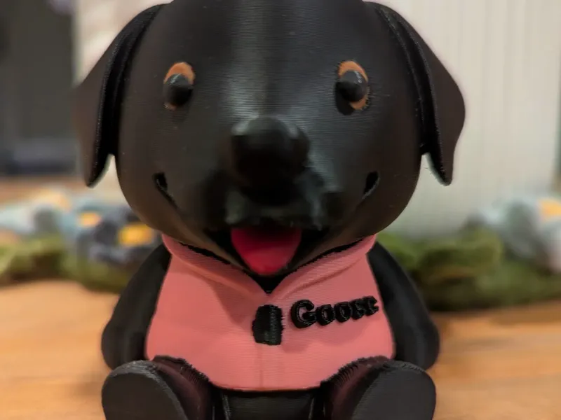 Black Lab Cutie