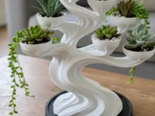 vaso bonsai