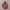 Christmas ball – Hangable Ornament / Wallart Decoration