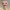 Funko Bobba Fet sin armadura
