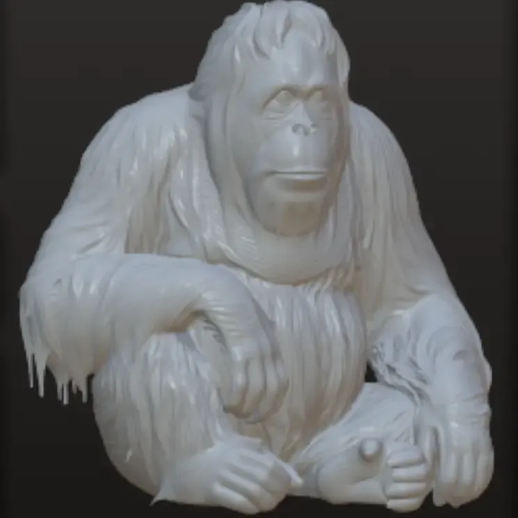 Orangutans