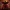 Busto Demogorgon