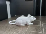 Sneaky Little Mouse-3