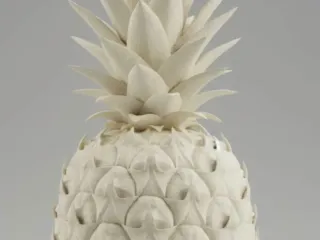 Abacaxi