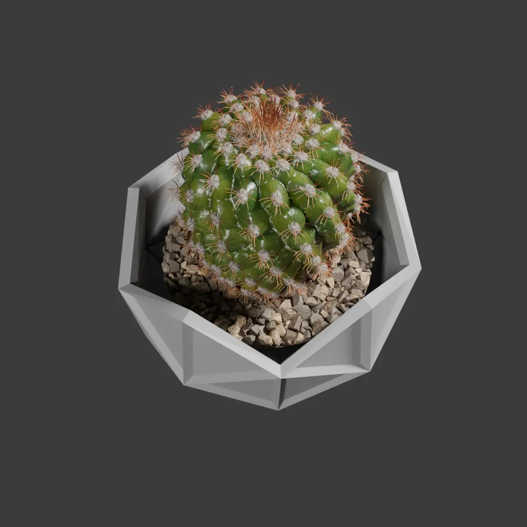Geodesic cactus pot planter