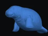 Manatee -1