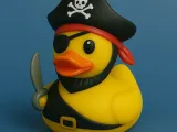 Pirate Duck-0