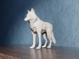 Low Poly Wolf-6