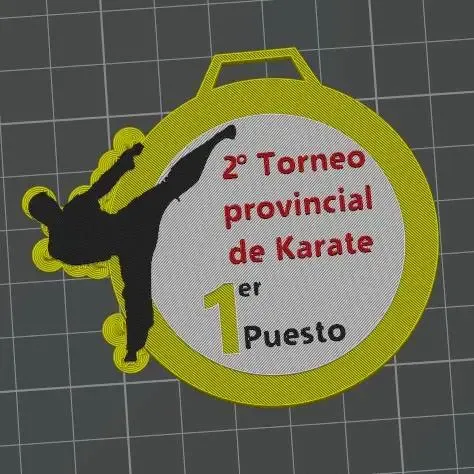 Medalla campeonato de karate Primer Puesto