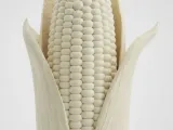 Milho em espiga-1