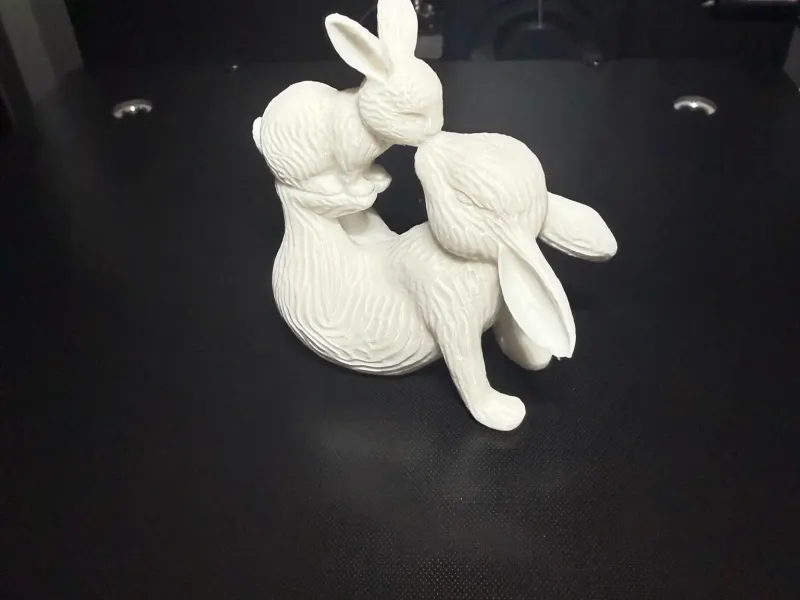 Rabbit family kiss | Hasen Familie Kuss