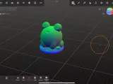 Frog named Rina-4