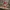 Melody Christmas