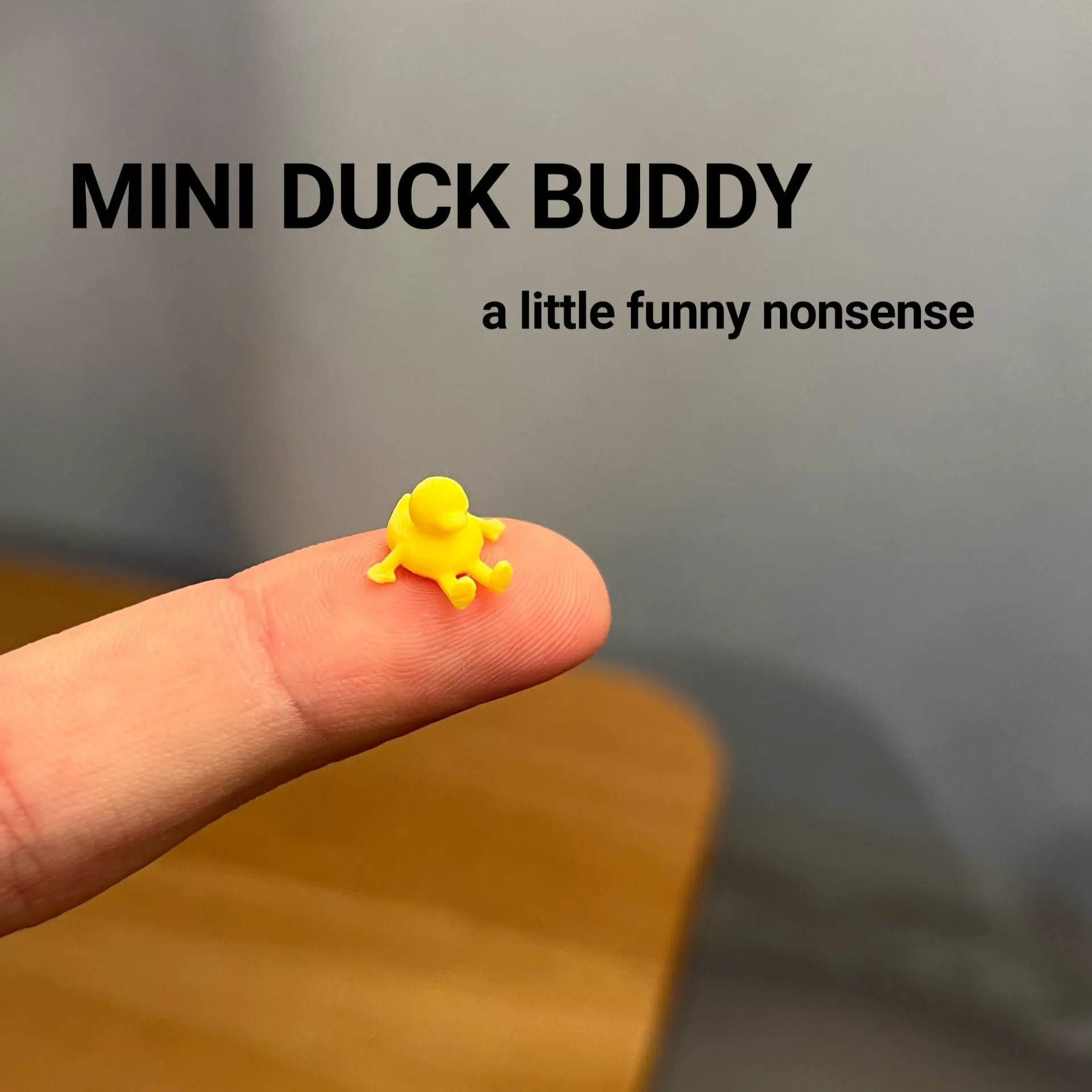 Mini Duck Buddy