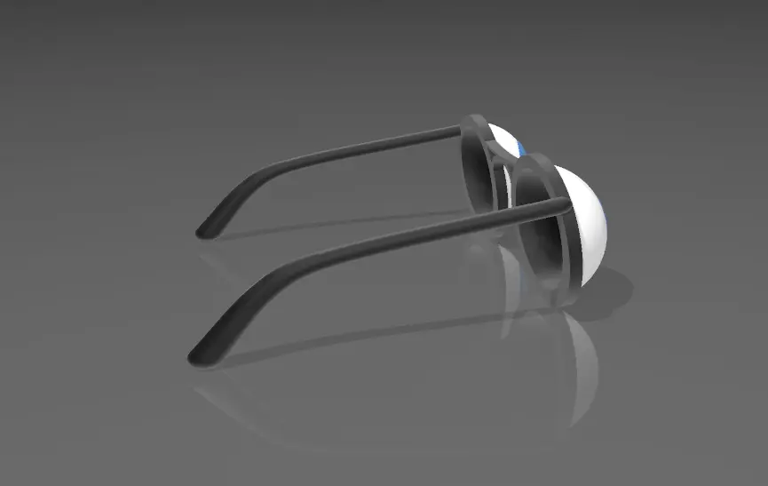 goofy glasses