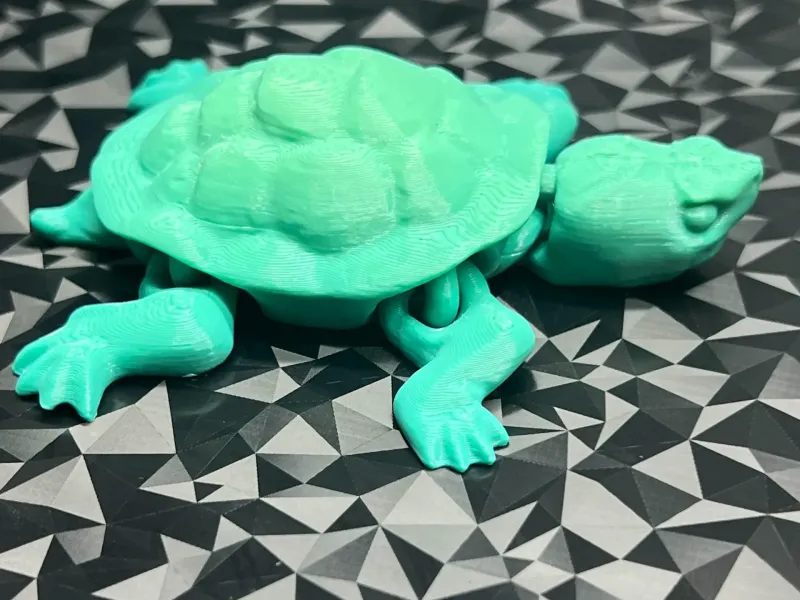 TARTARUGA ARTICOLATA