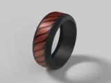 Anillo-1