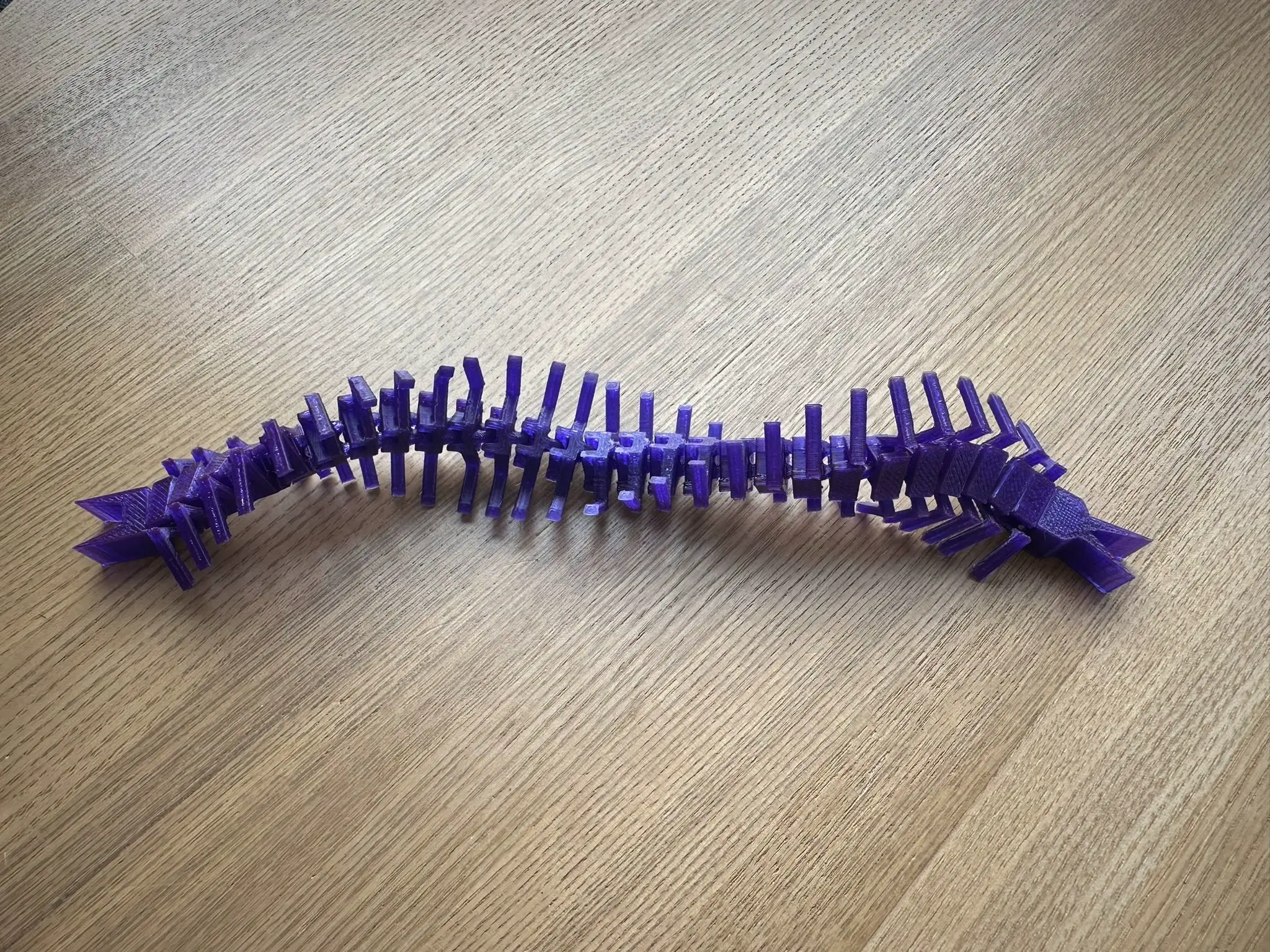 Flexi centipede