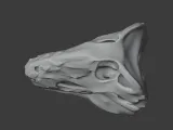 Dimetrodon Skull-4