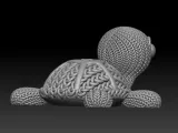 Knitted Tortoise-6
