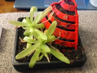 SMALL PLANTS HILL STRUCTURE