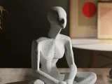 Bodies: Meditative Muse-0