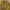 Yu-Gi-Oh! Classic Yugi Monsters & Duelist Pack