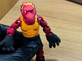 Raptor Goal