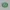 Whatsapp Disk