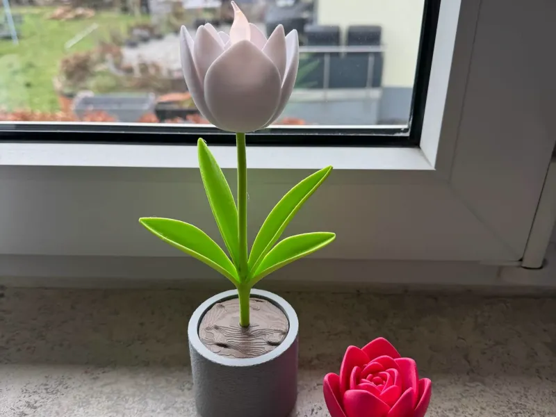 Tulpen Bausatz No CFS