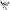 Plantilla Cryptosporidium 137
