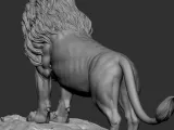Aslan-7