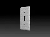 Rock Switch Cover-2