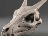 Charizard Skull-0