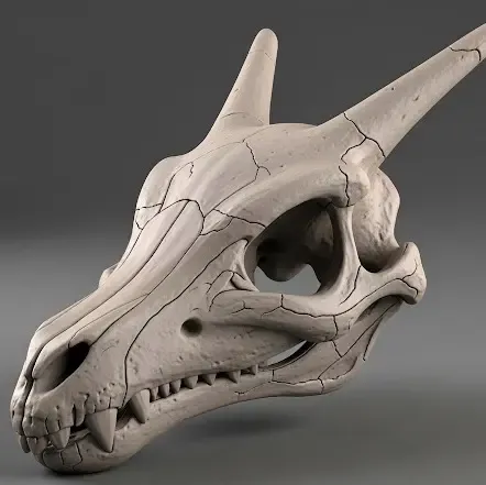 Teschio di Charizard
