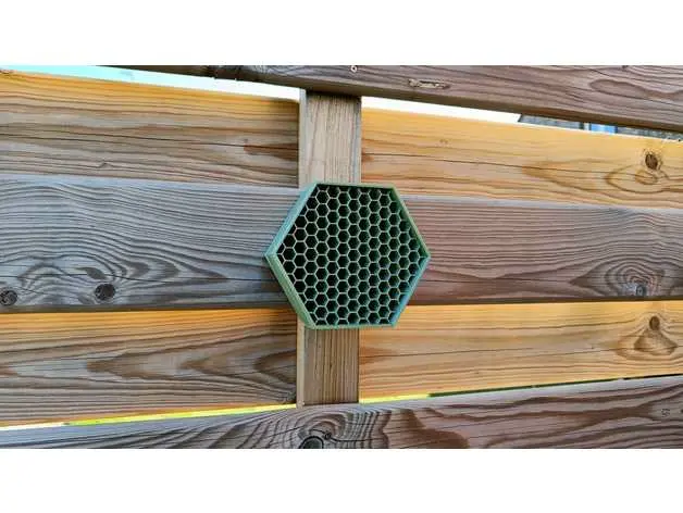 Bee Hive