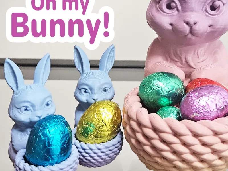 Egg Hunt Helper - Oh my Bunny!