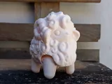 sheep-2
