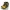 Caterpillar Cat 242 Skid Steer Loader 2004