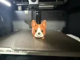 Flexi Articulated Corgi-2