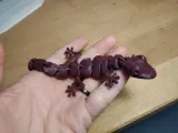 Articulated Lizard v2-2