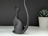Elegant Cat-5