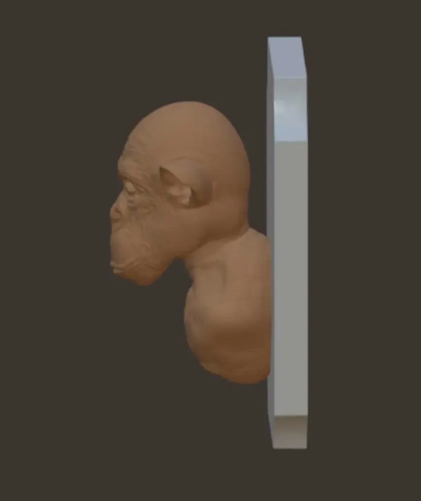 chimpanzee head wall mount