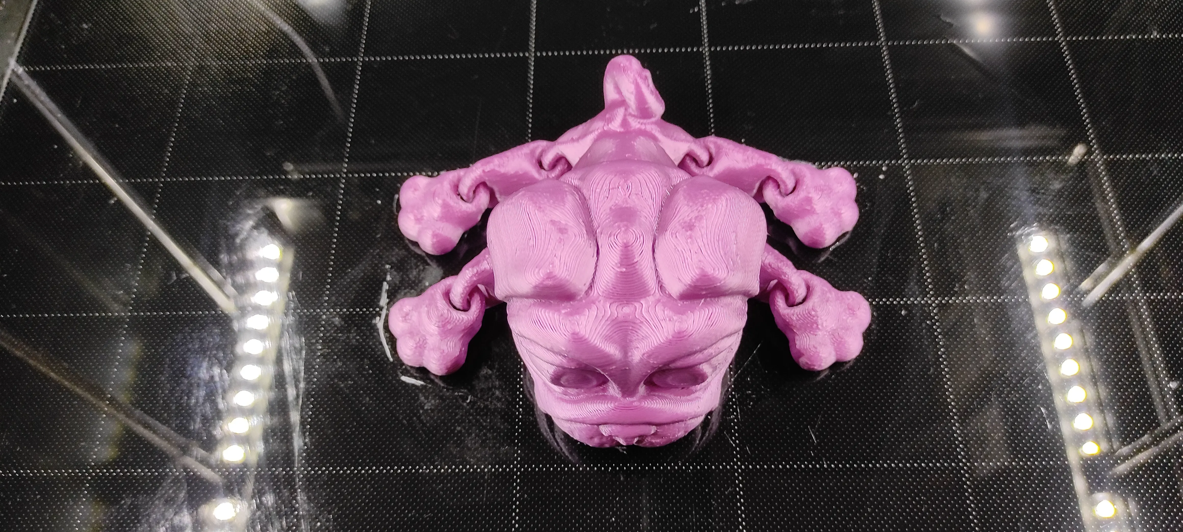 CUTE FLEXI PRINT-IN-PLACE DOG