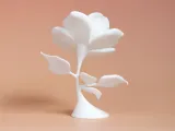 Rose-5