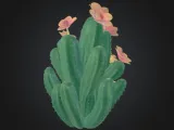 Cactus-2