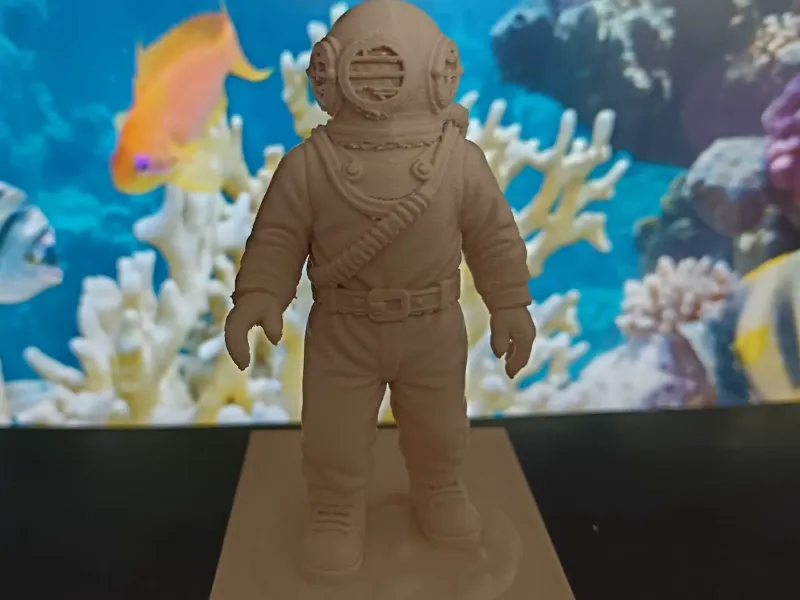 AQUARIUM - Diver