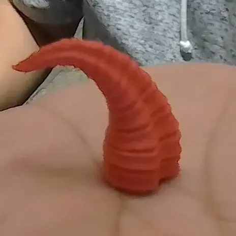Horns